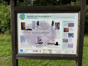 Saurier-Erlebnispfad (Wandergebiet) (Georgenthal)